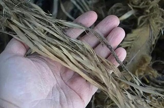 如何让你的伪装网在Jun事训练中看上去更逼真