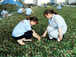 公司精英团队海外商务考察，紧跟国际市场